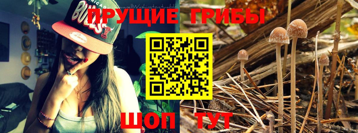 Галлюциногенные грибы мицелий  Вход с VPN  Сегежа 